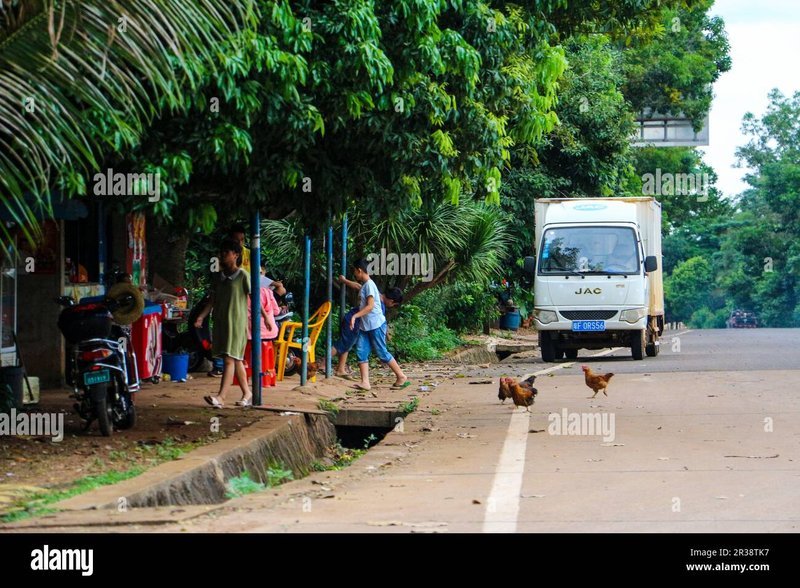 Chicken road casino, jugar chicken road