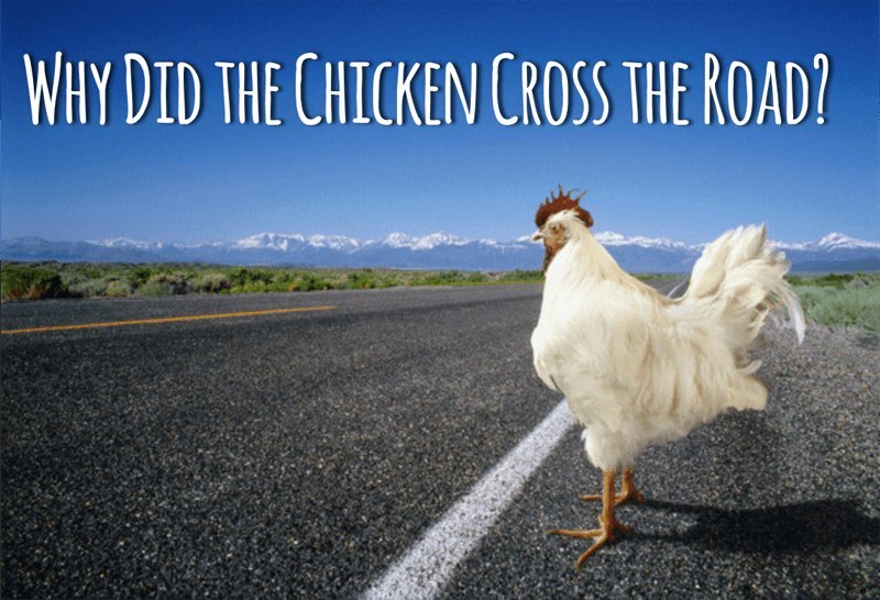 Descubre el Exclusivo Juego de Azar Chicken Road en España in Spain