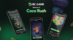 The Allure of BC.Game Casino A Comprehensive Guide
