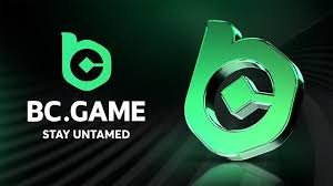 Understanding the BC Game Terms and Conditions A Comprehensive Guide 2104938659